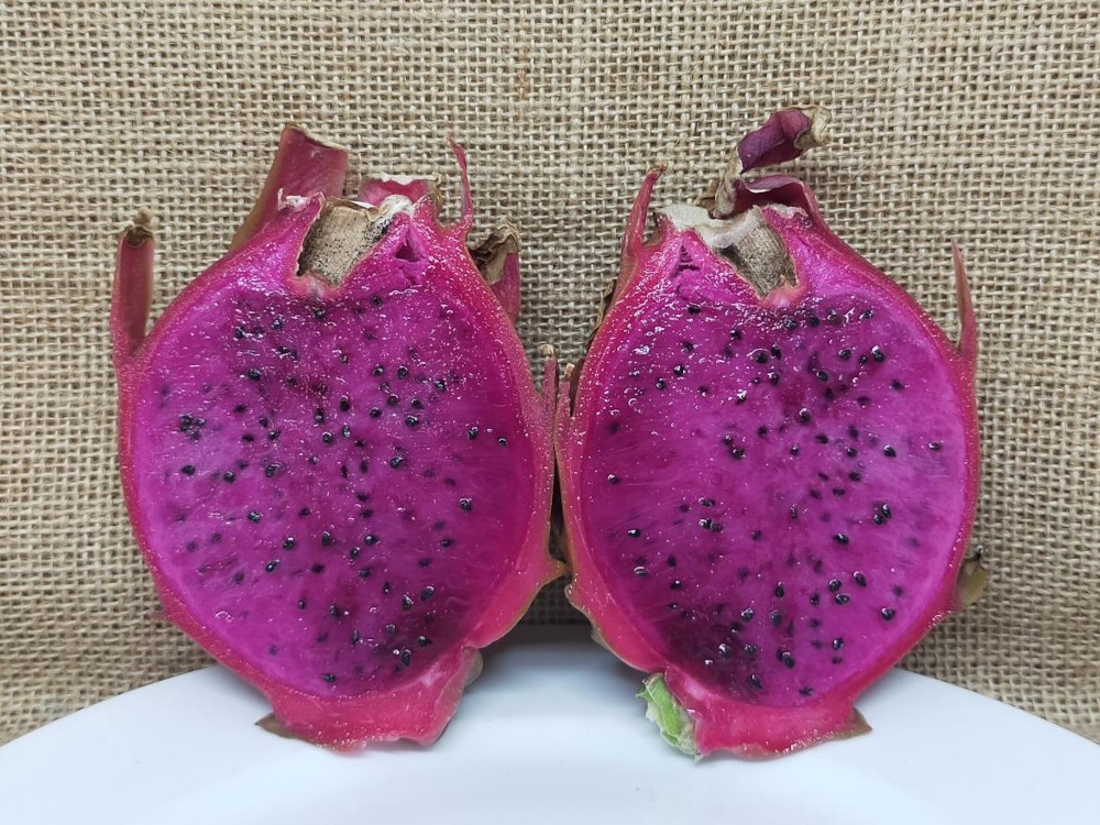 Thomson G2 dragon fruit picture